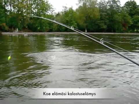 Fishing Lords Kymijoella