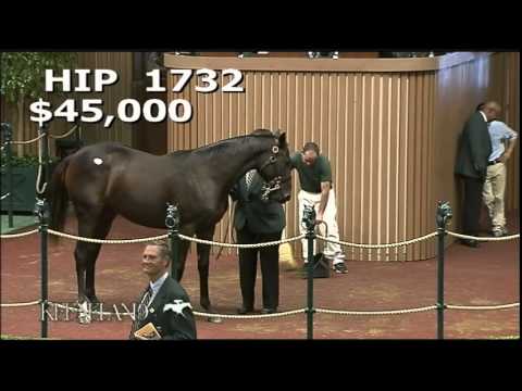 Hip 1732, Stopchargingmaria - 2012 September Yearling Sale