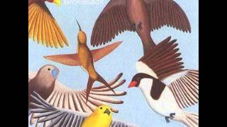 Brokeback - The Suspension Bridge At Iguazú Falls