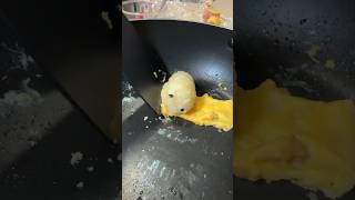 手作りピクミンは高く飛ぶ【ピクミンの歌】 #shorts #pikmin #ピクミン