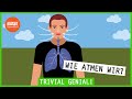 Wie atmen wir? | #trivialgenial | DAK-Gesundheit