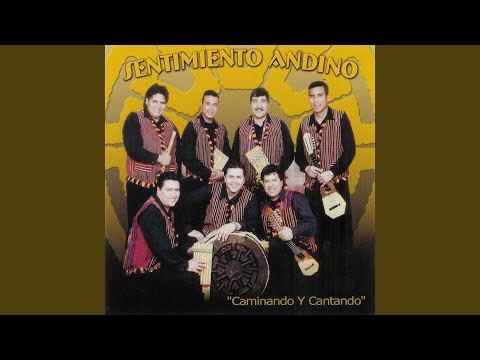 Seleccion De Huaynos