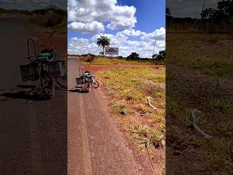 fazer a coleta dessa latinha nessa estrada saída de formoso de minas gerais