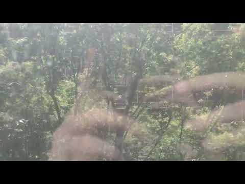 Kruppy Mod: Otis Lexan Traction Elevator #2 at Cherry-Marshall Parking Deck in Winston Salem NC