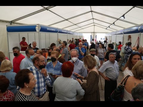 Buena afluencia de público a la Feria del Aceite y el Olivar de Vilvestre