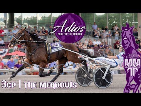 2022 Adios - Bythemissal - 3CP