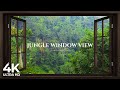 4K Jungle Open Window View With Birds Singing Relaxing Calming Ambience White Noise