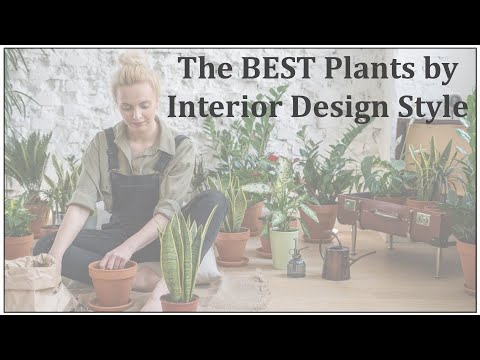The Best Plants for Different Interior Design Styles