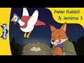 Jemima Puddle-Duck 3 | Peter Rabbit | Stories for Kids | Classic Story | Bedtime Stories