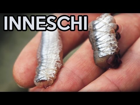 2 ANCHOVY FISHING BAITS (baits for sea fishing from shore... but also from a boat)