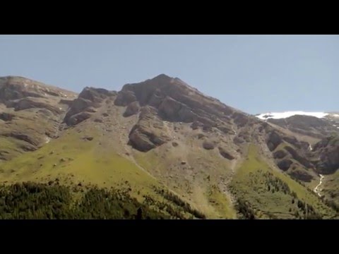 Трейлер