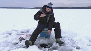 Ссылка