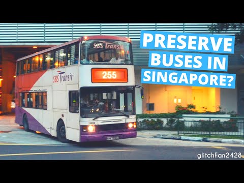 The SAD TRUTH about Bus Preservation in Singapore (it's illegal)