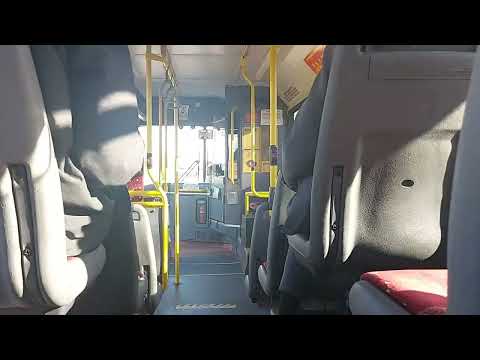 EURO 2 AT545! Panther Travel Dennis Dart SLF MPD BIG9856 2 *8/2/2022* (Ex Hedingham L394 X346YGU)