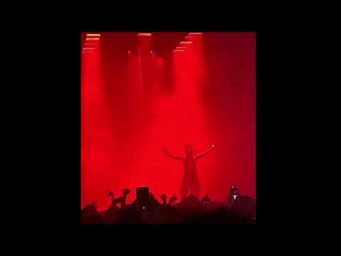 Playboi Carti x Wakeupf1lthy Type Beat "Fit" prod. aunix