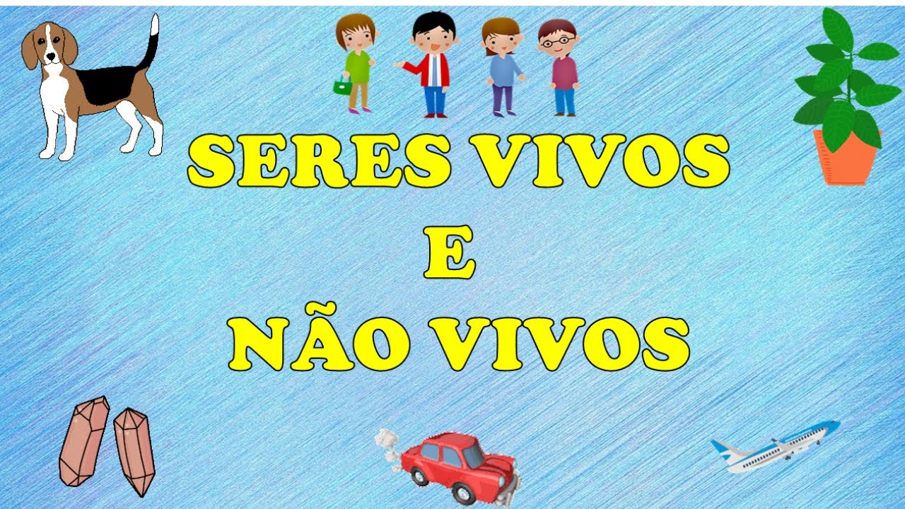 QUAIS SÃO OS SERES VIVOS E NÃO VIVOS