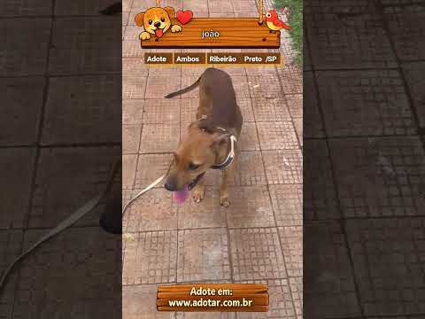 Vídeo de joão