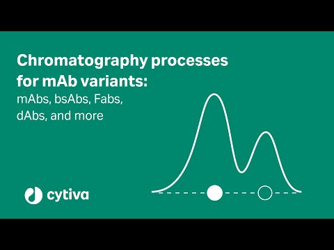 Chromatography processes for mAb variants: mAbs, bsAbs, Fabs, dAbs, and more