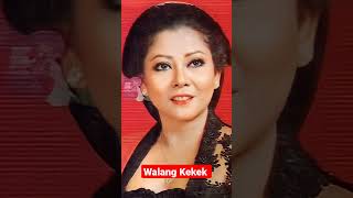 Download lagu #Waljinah mp3 Download lagu #Waljinah mp3