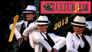 preview picture of video 'Culturalia 2013 PARLA'