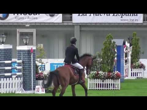 CSIO5* Gijon -  Kevin Staut & For Joy van't Zorgvliet*HDC - 1.60m barrage - 2017