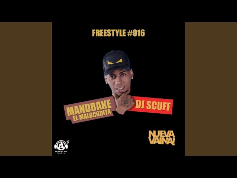 Freestyle #016