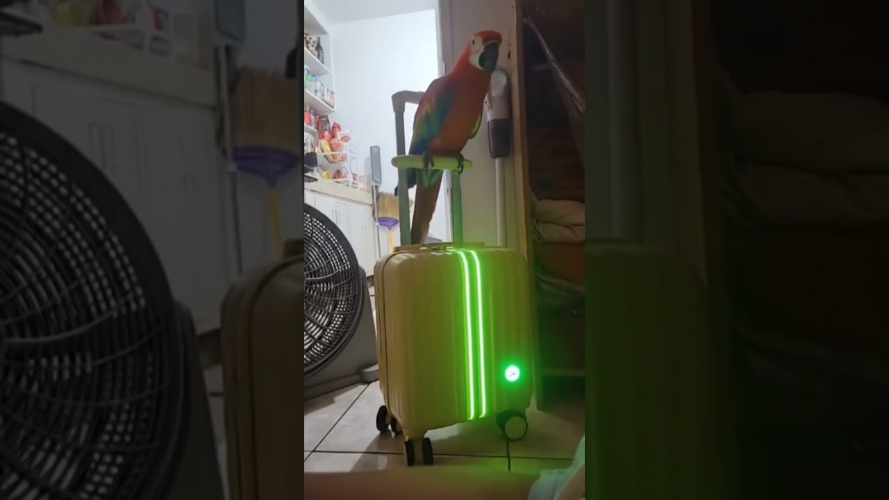 eeèĕŵeybhhikgm6muib5by