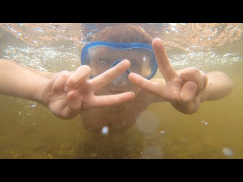 Video 4 aus  LandSelection Gut Grasleiten