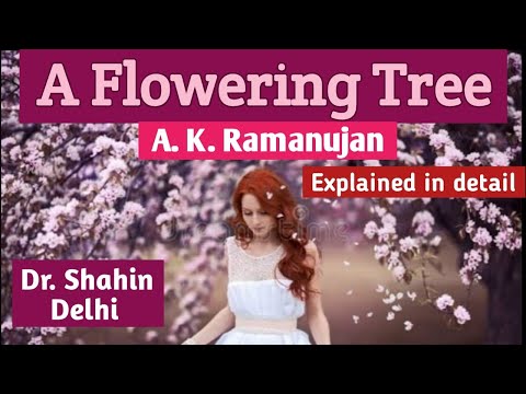 A Flowering Tree explained by Dr. Suraiya Shahin (JMI Delhi) #delhiuniversity