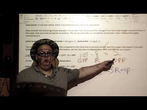 Canu APES GPP NPP and Respiration