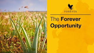 The Forever Opportunity  Forever Living Products
