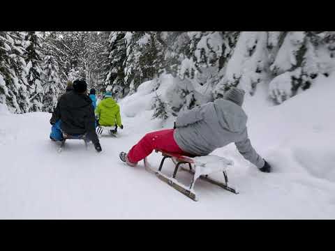 Rodelpartie Flachau