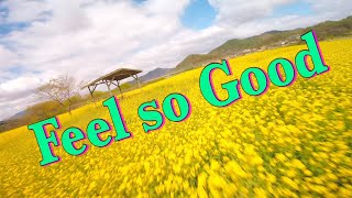 FPV freestyle - Feel so Good // The power of love - song by Celine Dion // 봄의 향기.. 좋은느낌 // 레이싱드...
