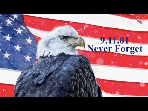 What I was doing that day... - The Barndominium Show E163