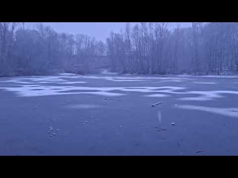 Øneheart x reidenshi - snowfall 