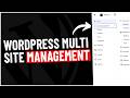 How To Streamline WordPress Maintenance WP Umbrella Walkthrough