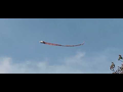 සරුංගලේ ගුවන් තලේ පාවී යයි නිසංසලේ