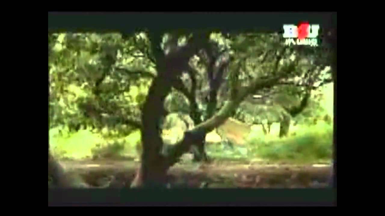 Bolo Ram Jai Jai Ram Lyrics | Jai Siya Ram (Jagijit Singh) | Jagjit Singh
