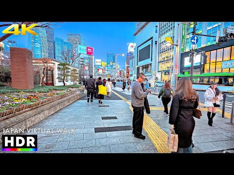 Tokyo Japan - Shinjuku City Evening Walk • 4K HDR