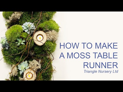 download lagu mp3 mp4 Moss Table Runner, download lagu Moss Table Runner gratis, unduh video klip Moss Table Runner