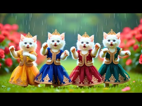 बिल्ली डांस | Cutest Cat videos funny dance🤣💃Videos for cats #funny #dancingcat #cat @Meow_cat99