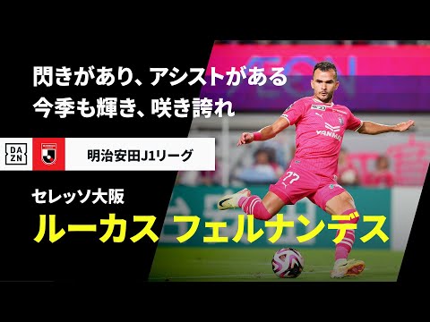 セレッソ大阪のチーム概要・注目選手を紹介!【ワクタカスポーツ 2025年版】 29 動画サムネイル