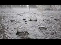 Rain Whatsapp Status Rain Whatsapp Status Video Barish Status Rain Day Nature Whatsapp Status