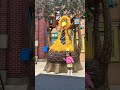 Big Bird