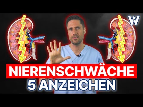 Nierenschwäche: 5 Anzeichen, dass Deine Nieren nicht richtig funktionieren | Typische Symptome