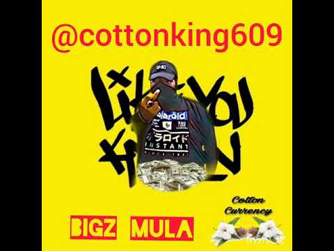 Bigz Mula - "Like you know"