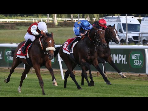 Zauberkönig wird am 15.09.2024 dritter im Großen Preis der Sparkasse Hannover (Listenrennen)
