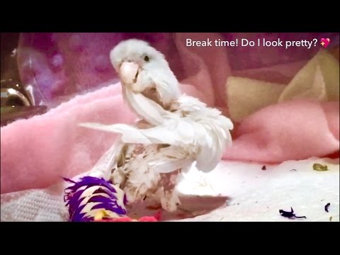 Mar 2/17 Smokey is Working Hard Today! 😘