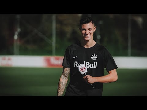 SumSum 🐝 Keckes Insekt platzt in Sesko-Dreh 🎥