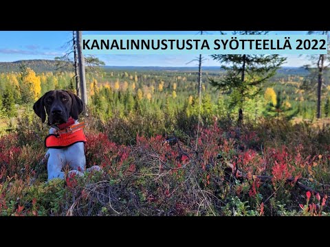Kanalinnustusta Syötteellä 2022 osa1